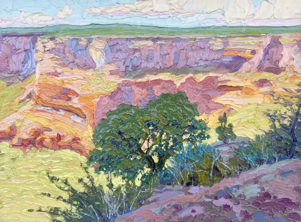 Billyo O'Donnell Canyon de Chelly Shade oil on panel, 12 x 16 in